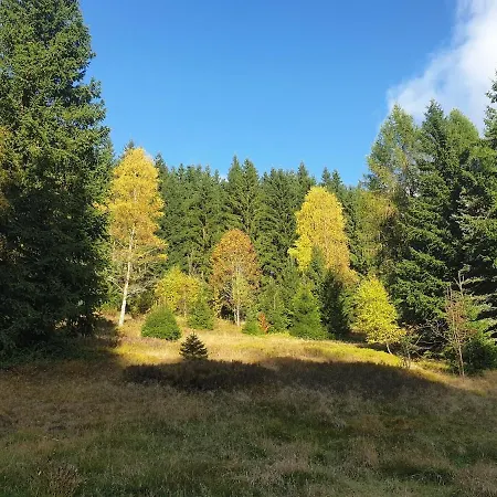 펜션 Waldhaus Mit Kamin & Aussicht - Direkt Am 